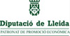Patronat de Promoció Econòmica de la Diputació de Lleida